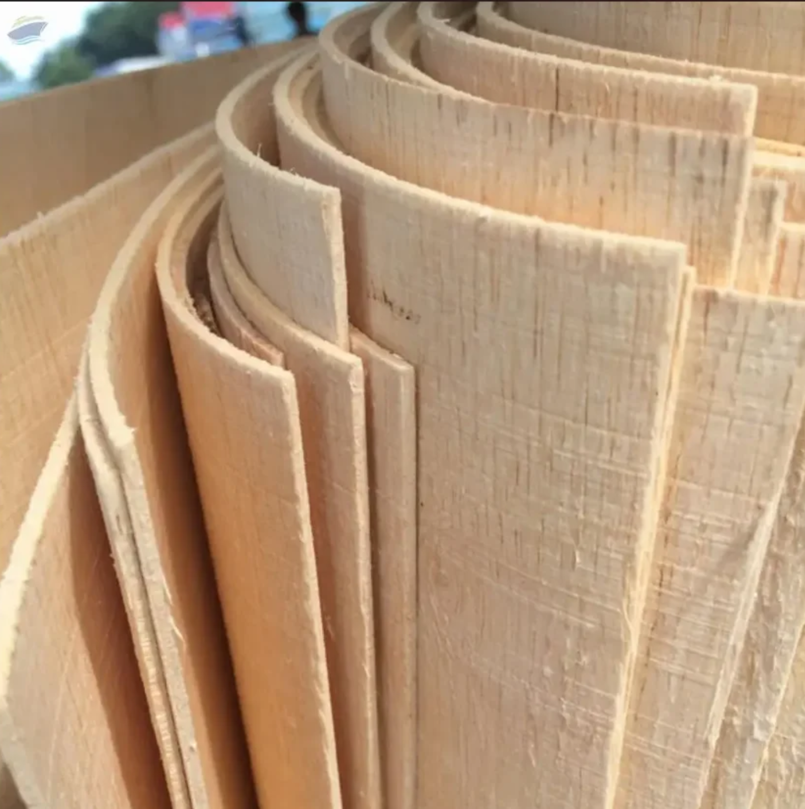 Eucalyptus Core Veneer 3